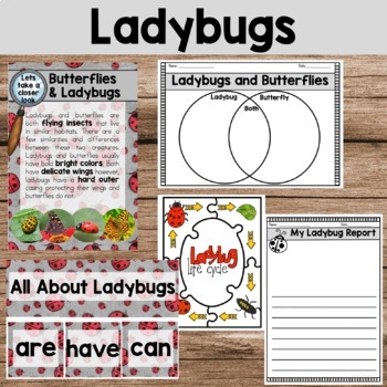 All About Ladybugs by Rachel O Donnell | Teachers Pay Teachers