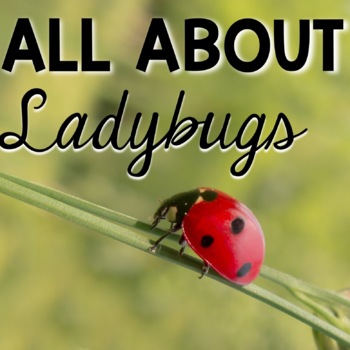 Preview of Ladybugs Life Cycle