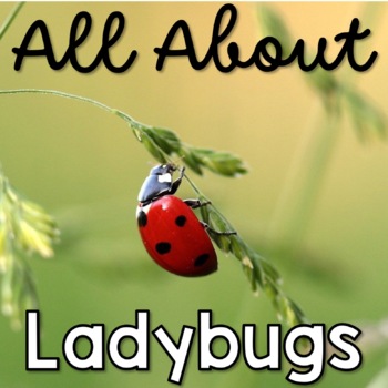 Preview of All About Ladybugs Life Cycle
