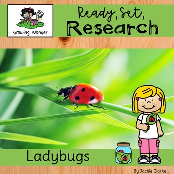 Preview of All About Ladybugs (Nonfiction Informational Writing Animal Research Project)