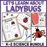 All About Ladybugs Science Thematic Unit For Kindergarten 