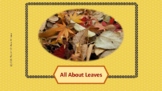 All About Leaves