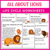 All About Lion | Lion life cycle worksheets | Science Read