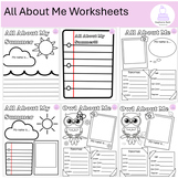 All About Me Worksheets/ All About My Summer Worksheets