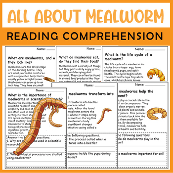 Preview of All About Meal worm| Meal wormLife Cycle | Science Reading Comprehensions