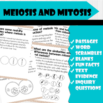 Preview of All About Meiosis and Mitosis | Science Reading Comprehensions, and Worksheets