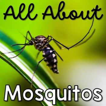 Preview of All About Mosquitoes Life Cycle