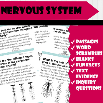 Preview of All About Nervous system | Science Reading Comprehensions, and Worksheets