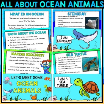 All About Ocean Animals | For In Person & Virtual Learning | TpT