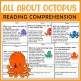 All About Octopus | Octopus Life Cycle | Science Reading C