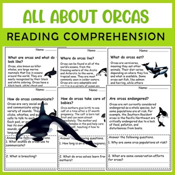 Preview of All About Orcas | Orcas life cycle | Science Reading Comprehensions
