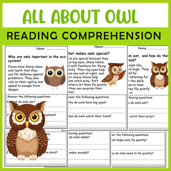 Preview of All About Owl| Owl life cycle | Science Reading Comprehensions