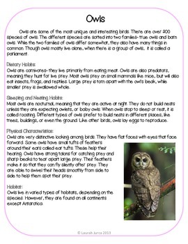 All About Owls: A Common Core Literacy Unit by Tools for Teachers by ...