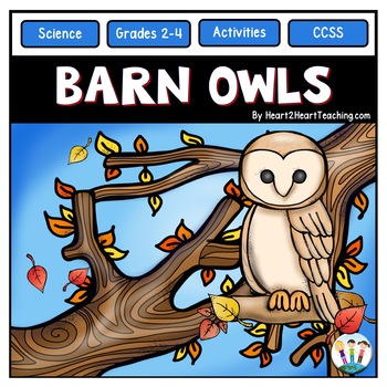 Preview of All About Owls Activities Life Cycle of Barn Owl A Fun Unit for October