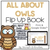 All About Owls Flip Up Book