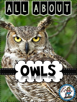 All About Owls {Nonfiction and Literacy Unit} by Natalie's Nook | TPT
