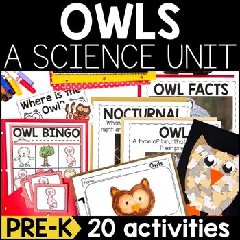 Preview of All About Owls - Owls Science Unit for Pre-k | Owl Crafts and Owl Activities