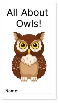 Preview of All About Owls Worksheets - PPT