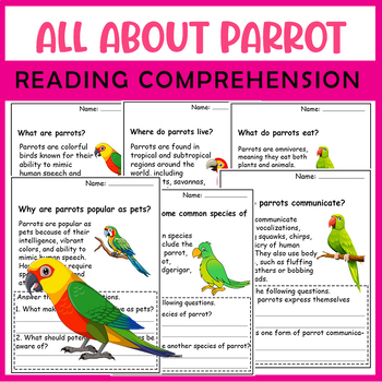 Preview of All About Parrot| Parrot life cycle worksheets | Science Reading Comprehensions