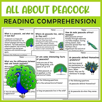 Preview of All About Peacock | Zoo Animals | Science Reading Comprehensions