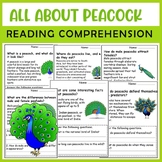 All About Peacock | Zoo Animals | Science Reading Comprehensions