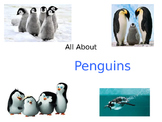 All About Penguins!