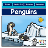 All About Penguins Activities Passages Worksheets Life Cyc