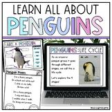 All About Penguins Slides & Printables | Penguin Life Cycl