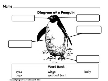 All About Penguins, Writing Prompts, Graphic Organizers, Diagram by ...