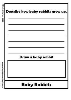 All About Pet Rabbits Flip Book Activity Research Project Science Writing
