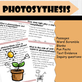 All About Photosynthesis | Biology Reading Comprehensions,