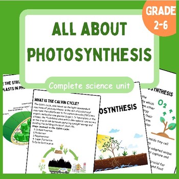 Preview of All About Photosynthesis | Reading passages | Diagram