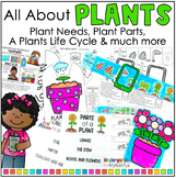 All About Plants Science Unit - Plant Life Cycle, Experime