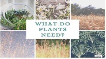 Preview of All About Plants