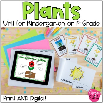 Preview of Plant Unit For Kindergarten or First Grade: Print and Digital for Google Slides