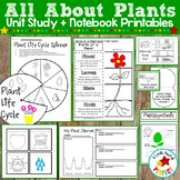 All About Plants: Activities, Craft, and Plant Life Cycle 