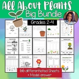 Plants Parts and Needs {Editable} {Worksheets} {BUNDLE!} -