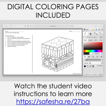 Digital Coloring Pages - Kleki Tutorial 