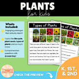 All About Plants Comprehension Reading Passage Preview Int