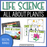 All About Plants Digital Lessons Bundle - 2nd & 3rd Grade 