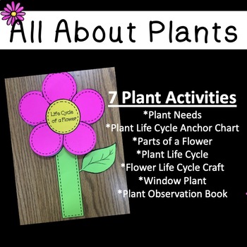 All About Plants (English) by Creation 4 Education | TpT