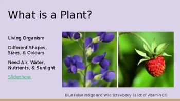 Preview of All About Plants: Introduction to Plants Unit (Learning & Games)