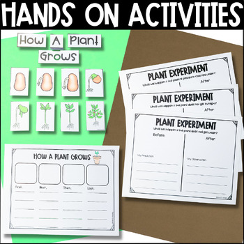 Plant Life Cycle Unit for Kindergarten First Second Grade | TpT