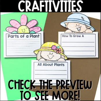 Plant Life Cycle Unit for Kindergarten First Second Grade | TpT