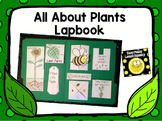 All About Plants Lapbook