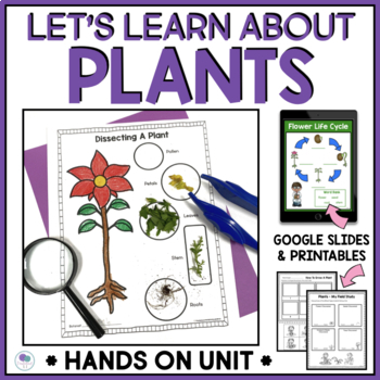 Preview of All About Plants | Life Cycle Of A Plant | Thematic Unit For 1st Grade 2nd Grade