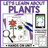 All About Plants | Life Cycle Of A Plant | Thematic Unit F