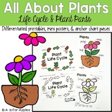 All About Plants! {Life Cycle & Parts}
