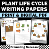 Plant Theme Spring Summer Writing Paper with Lines Picture