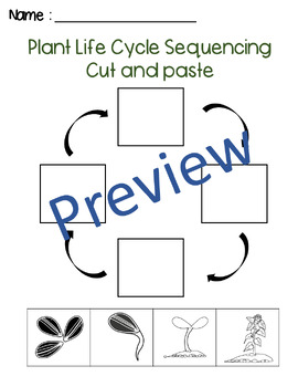 All About Plants | Parts of Plants | Kindergarten 1st Grade | spring